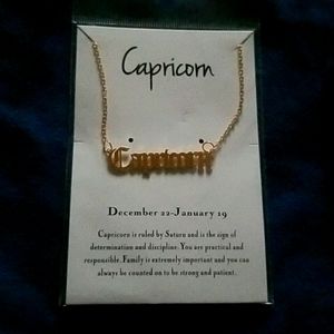 Gold capricorn zodiac necklace